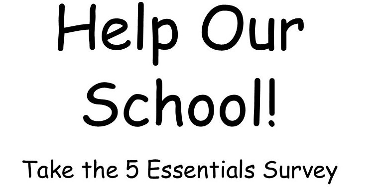 5 Essentials